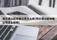 荷兰港口区块链公司怎么样[荷兰港口区块链公司怎么样啊]